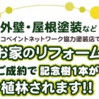 エコペンPresent Treeプロジェクト始まりました! エコペンPresent Treeプロジェクト始まりました!
