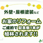 エコペンPresent Treeプロジェクト始まりました! エコペンPresent Treeプロジェクト始まりました!